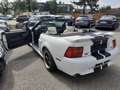 Ford Mustang GT 4,6 V8 Aut. Cabrio Klima Leder el. Verdeck Temp Weiß - thumbnail 5