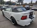 Ford Mustang GT 4,6 V8 Aut. Cabrio Klima Leder el. Verdeck Temp Weiß - thumbnail 8