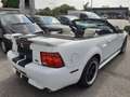 Ford Mustang GT 4,6 V8 Aut. Cabrio Klima Leder el. Verdeck Temp Weiß - thumbnail 4