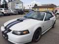 Ford Mustang GT 4,6 V8 Aut. Cabrio Klima Leder el. Verdeck Temp Weiß - thumbnail 3
