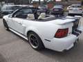 Ford Mustang GT 4,6 V8 Aut. Cabrio Klima Leder el. Verdeck Temp Weiß - thumbnail 2