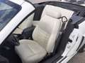 Ford Mustang GT 4,6 V8 Aut. Cabrio Klima Leder el. Verdeck Temp Weiß - thumbnail 15