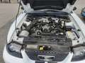 Ford Mustang GT 4,6 V8 Aut. Cabrio Klima Leder el. Verdeck Temp Weiß - thumbnail 10