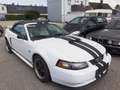 Ford Mustang GT 4,6 V8 Aut. Cabrio Klima Leder el. Verdeck Temp Weiß - thumbnail 6