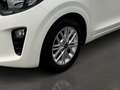 Kia Picanto Dream Team Navi Apple CarPlay Android Auto Klimaau Bianco - thumbnail 6