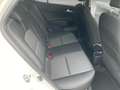 Kia Picanto Dream Team Navi Apple CarPlay Android Auto Klimaau Bianco - thumbnail 13
