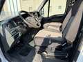 Iveco Daily 35C17 -DOPPIA CABINA-RIBALTABILE- 3.0- CLIMA Weiß - thumbnail 10