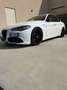 Alfa Romeo Giulia 2.0 t Veloce TI Q4 280cv awd auto - thumbnail 1