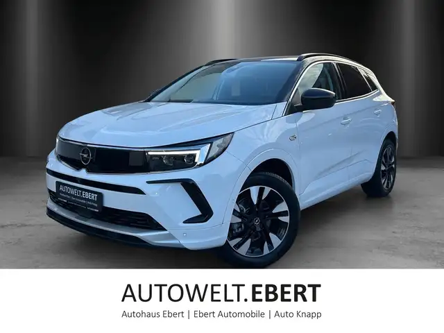 Opel Grandland X Grandland 1.2 Turbo Elegance/360°CAM/NAVI-PR