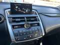 Lexus NX 300 300h Executive 4WD Tecno Білий - thumbnail 10