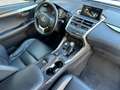 Lexus NX 300 300h Executive 4WD Tecno Blanco - thumbnail 24