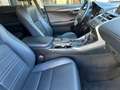Lexus NX 300 300h Executive 4WD Tecno Blanco - thumbnail 23