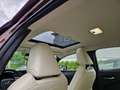 Lexus UX 250h Executive Line HUD/Navi/TWW/Leder smeđa - thumbnail 12