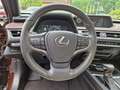 Lexus UX 250h Executive Line HUD/Navi/TWW/Leder Marrone - thumbnail 9