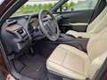 Lexus UX 250h Executive Line HUD/Navi/TWW/Leder Brązowy - thumbnail 10