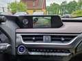 Lexus UX 250h Executive Line HUD/Navi/TWW/Leder Brązowy - thumbnail 16