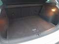 Volkswagen Tiguan 2.0 TDI BMT 4Motion*Leder*OpenSky*Navi* Weiß - thumbnail 15