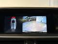 Alfa Romeo Stelvio 2.2 Turbo Diesel 190CV Ti AT8 Q4 Verde - thumbnail 15