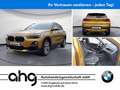BMW X2 sDrive20i Steptronic DCT Klimaaut. Head-Up Oro - thumbnail 1