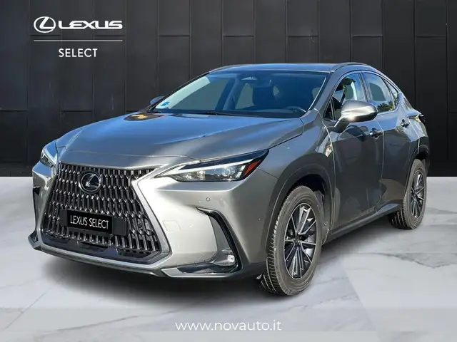 Lexus NX 350h NX 350h 2.5 Business 4wd 244cv e-cvt