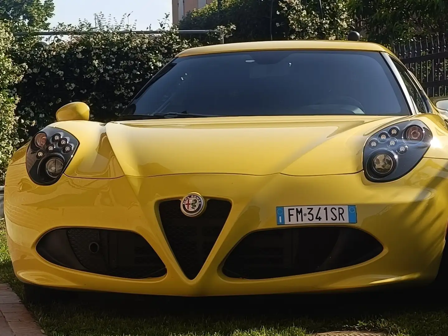 Alfa Romeo 4C 4C Coupe 1750 tbi 240cv tct E6 Giallo - 2