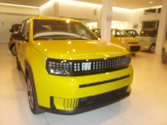 Fiat New Panda Hybrid Icon 338.7575187 MASSARI MARCO  PRONTA IN SEDE