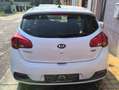 Kia Ceed / cee'd Cee'D 1.6 CRDi Easy Wit - thumbnail 5