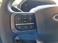 Ford F 150 Lightning XLT 98kWh 0% Finanzierung 699.-monatlich Blau - thumbnail 13