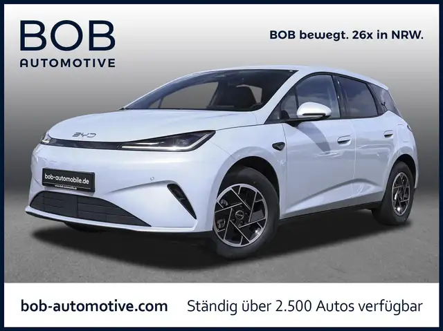 BYD Dolphin