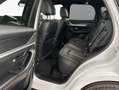 Mazda CX-60 e-SKYACTIV-D 254 M HYBRID AWD HOMURA PLUS 18 Weiß - thumbnail 8