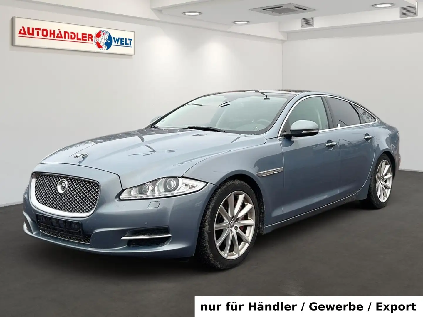 Jaguar XJ 3.0 Diesel V6 Portfolio Xenon Pano Navi SHZ Gris - 1