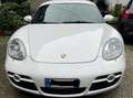 Porsche Cayman Cayman 2.7 Bianco - thumbnail 11