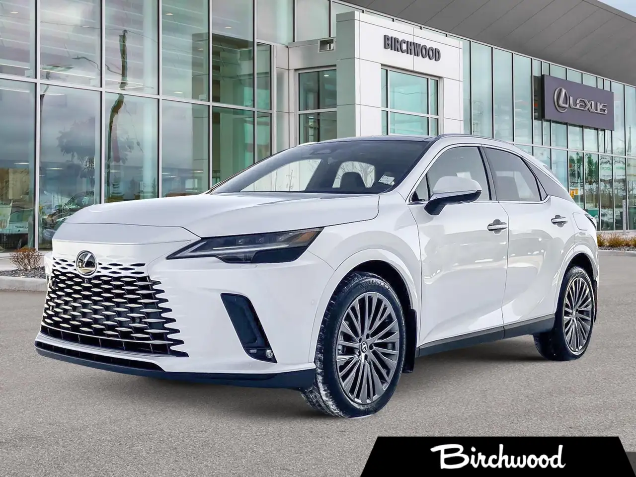 2026 Lexus RX