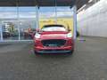 Ford Puma 1.0 EcoB. Automatik Titanium X Navi Klimaautom SHZ Rouge - thumbnail 3
