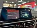 BMW X4 xDrive 20dA xLine Gris - thumbnail 21