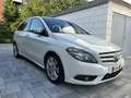 Mercedes-Benz B 200 cdi (be) Executive - thumbnail 4