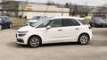 Citroen C4 Picasso Shine Aut. inkl AHK Weiß - thumbnail 3