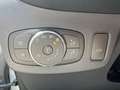 Ford Puma 1.0Mhev 125pk Titanium+GPS+camera+parkh v en a+pa Argent - thumbnail 23