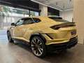 Lamborghini Urus S 4.0 V8 666 CH BVA8 Or - thumbnail 5