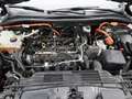 Ford Kuga 2.5 PHEV ST-Line X | Panoramadak | Trekhaak | Wint Grau - thumbnail 38