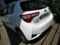 Toyota Yaris 100H 1.5 Active Bianco - thumbnail 22