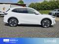 Geely E5 Pro+ Leder 360°Kamera Weiß - thumbnail 6