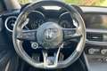 Alfa Romeo Stelvio Stelvio 2.2 Turbodiesel 190 CV AT8 RWD Sprint Nero - thumbnail 12