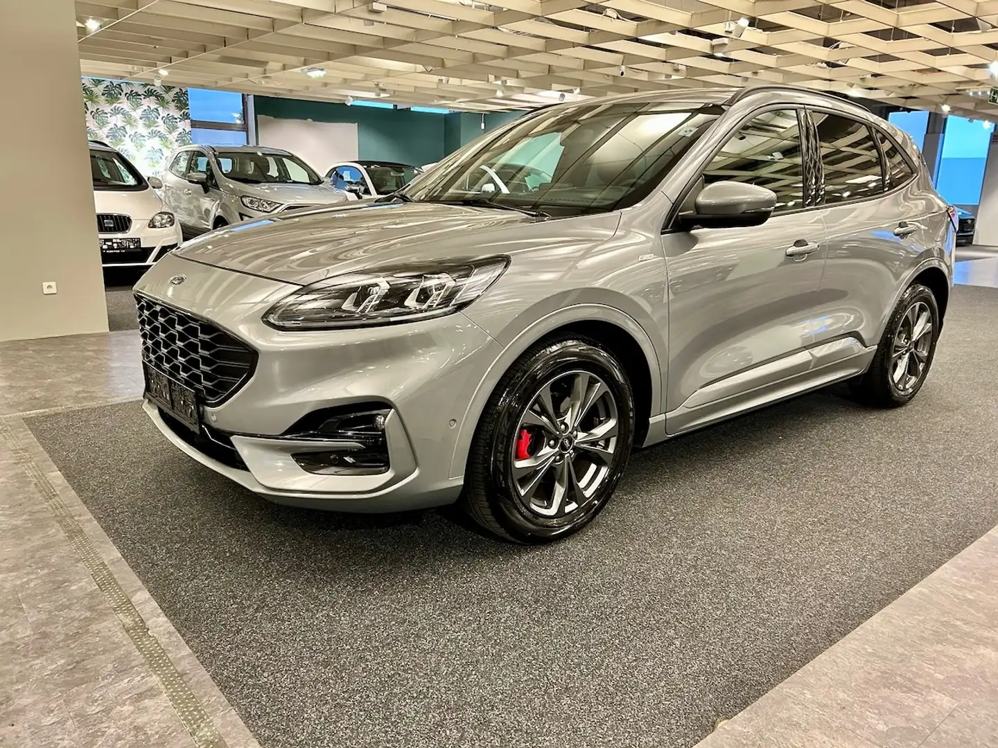 Ford Kuga 2,0 EcoBlue ST-Line X *1. Besitz* Argent - 1