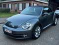 Volkswagen Beetle The Beetle Cabriolet 1.2 TSI iBeetle Design Argent - thumbnail 1