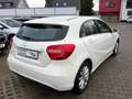 Mercedes-Benz A 180 A 180 CDI / d BlueEfficiency (176.012) Weiß - thumbnail 18