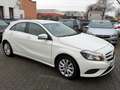 Mercedes-Benz A 180 A 180 CDI / d BlueEfficiency (176.012) Bianco - thumbnail 3