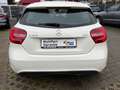 Mercedes-Benz A 180 A 180 CDI / d BlueEfficiency (176.012) Bianco - thumbnail 4