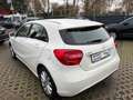 Mercedes-Benz A 180 A 180 CDI / d BlueEfficiency (176.012) Weiß - thumbnail 16