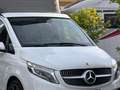 Mercedes-Benz Marco Polo 300 D 4matic Auto My21 Bianco - thumbnail 2